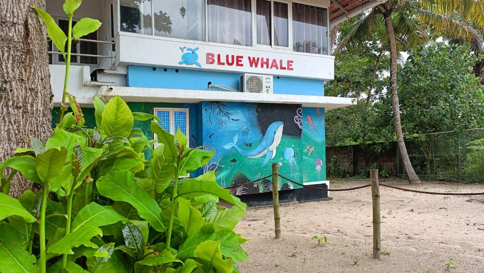 Marari Blue Whale Beach House Alappuzha Kültér fotó